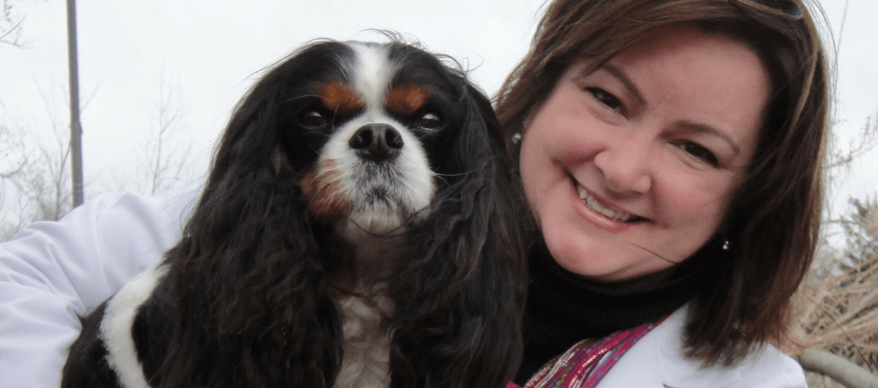 Wynantskill New York Veterinarians