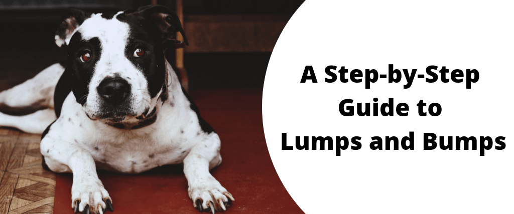 what does a cancerous lump feel like in a dog