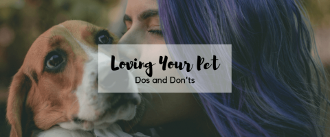 Loving Your Pet: Dos and Don'ts