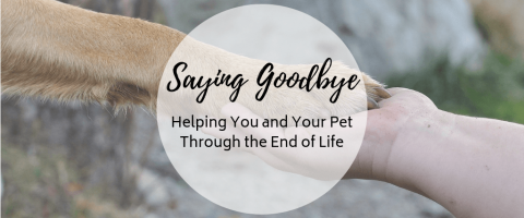 Saying Goodbye: Helping You and Your Pet Through the End of Life