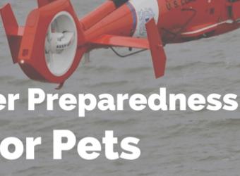 Disaster Preparedness Kits For Pets
