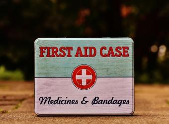 First Aid for Pets: Preparing a Kit