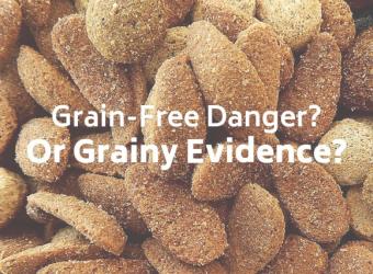 Grain-Free Pet Food Frenzy – The Evidence May Be…Grainy