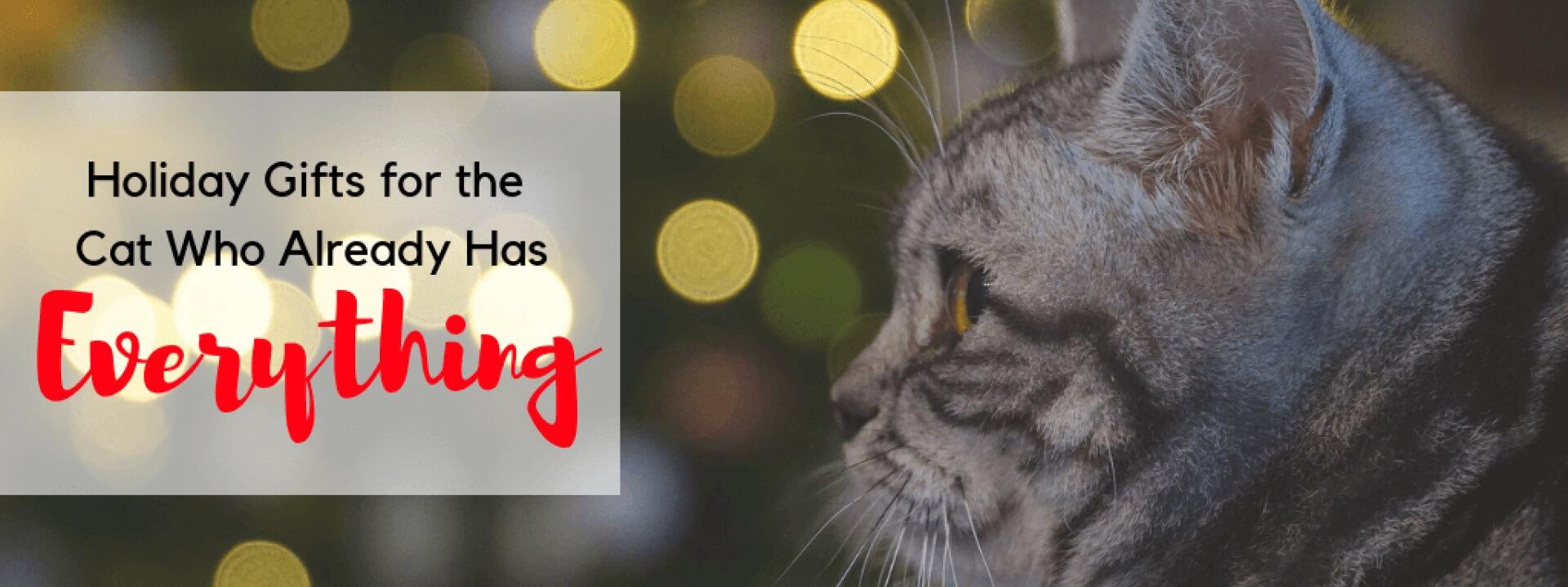 Holiday Gifts for the Cat