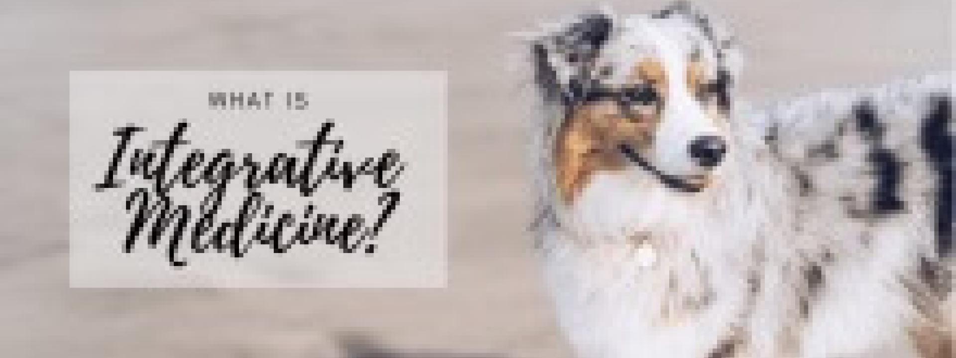 What Is Integrative Medicine?