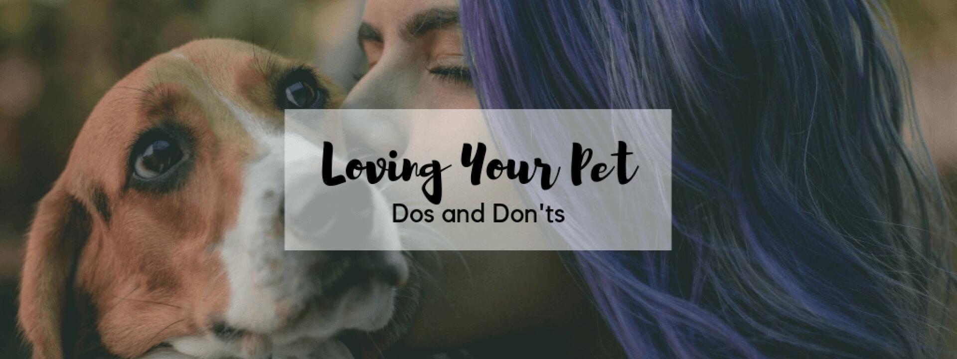 Loving Your Pet