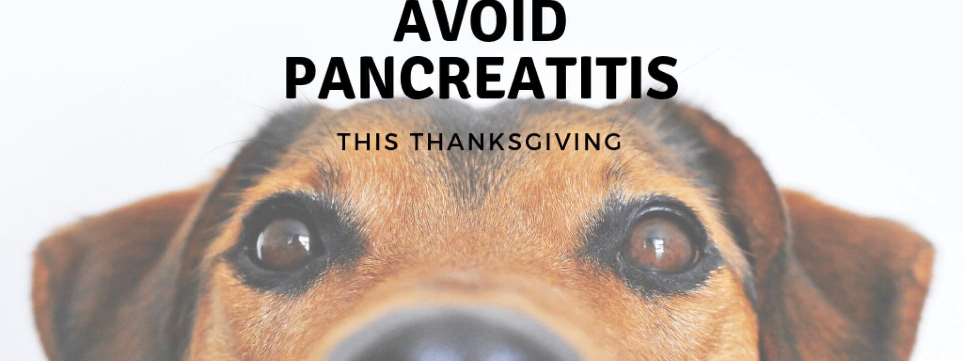 Avoid Pancreatitis This Thanksgiving