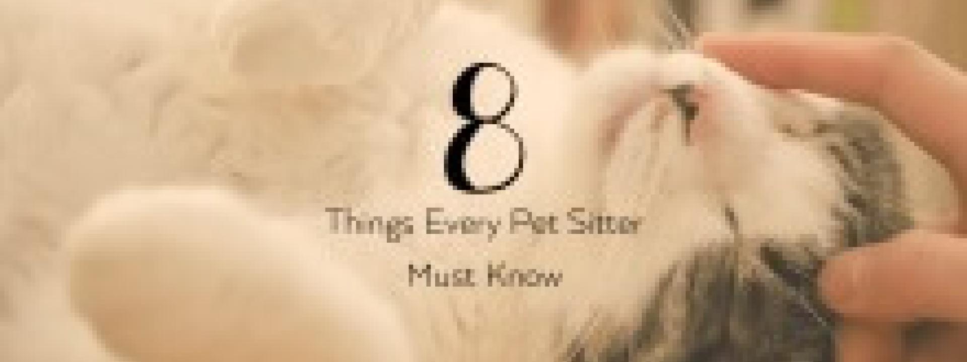 8 Things Every Pet Sitter Must Know
