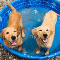 Daycare pool